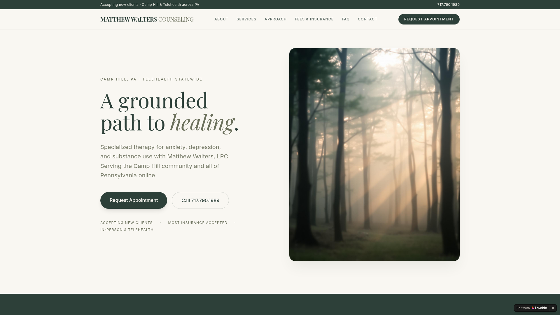 Matthew Walters Counseling website screenshot