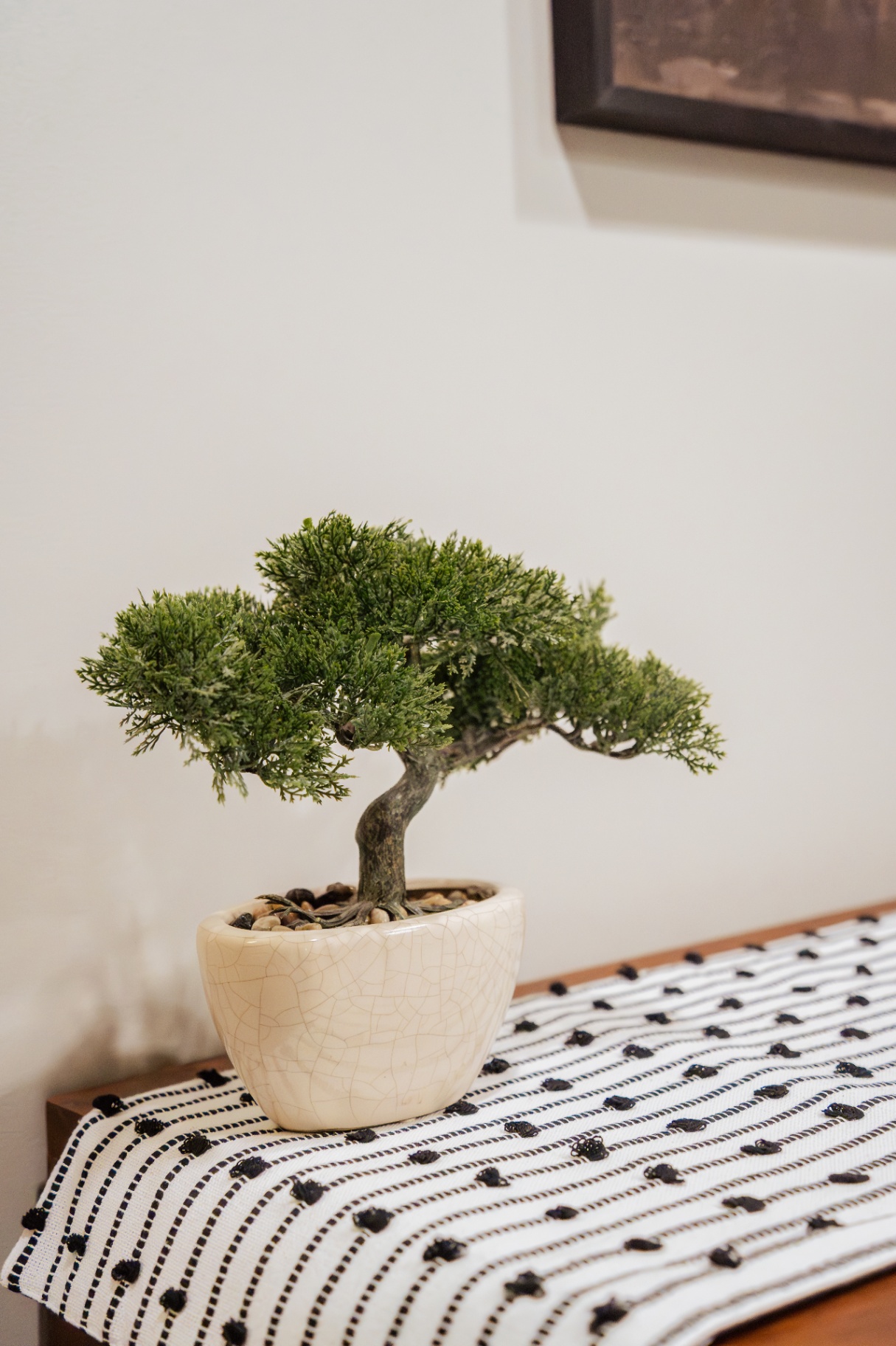 Small bonsai tree in a cream ceramic pot on a striped woven table runner